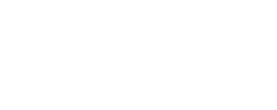 Rigicon.es